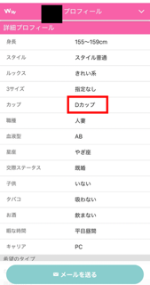 ワクワクメールの業者の特徴